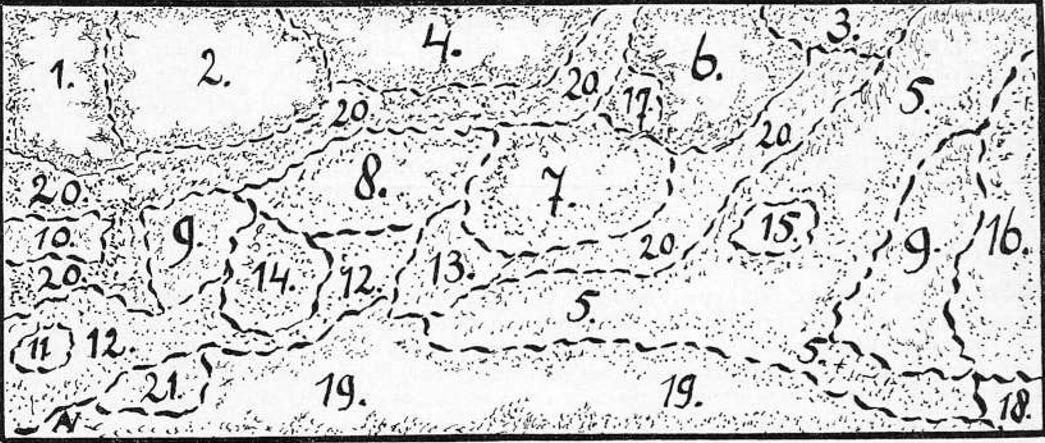 Het planten schema