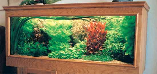 Het kampioens vivarium De kampioen
