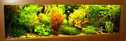 Het kampioens vivarium De kampioen