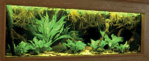 Het kampioens vivarium De kampioen