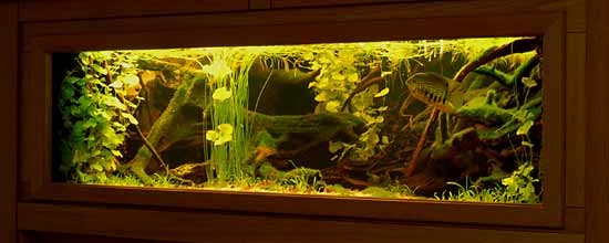 Het kampioens vivarium De kampioen