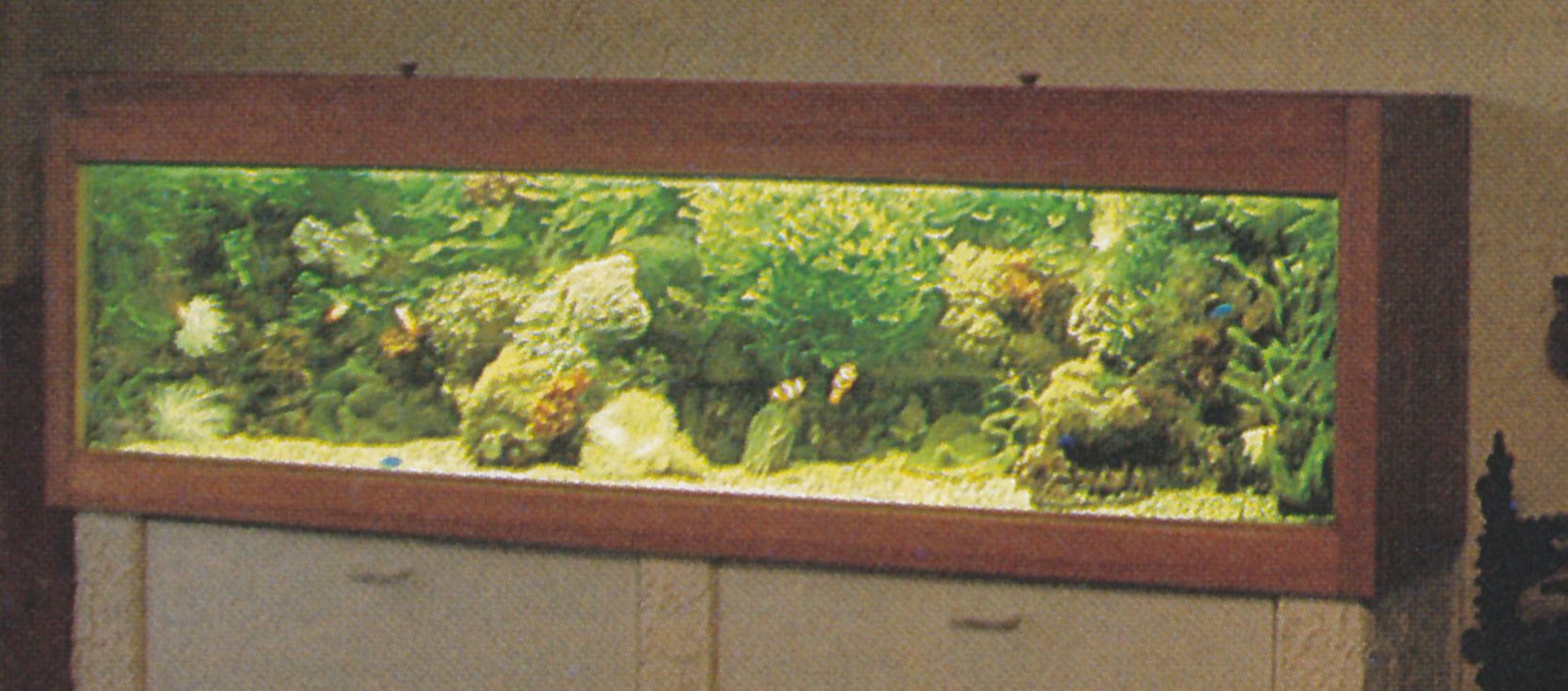 Het kampioens vivarium De kampioen